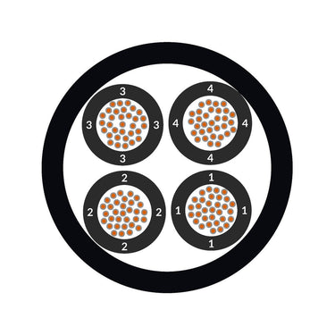 ÖLFLEX® TRAIN 350 300V 12X2,5