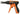 TY-GUN ERG 120B SPARE PART KNIFE